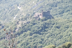 11_Cabrespine_2011_002