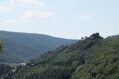 11_Cabrespine_2011_004