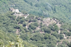 11_Cabrespine_2011_007