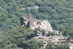 11_Cabrespine_2011_008