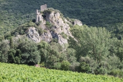 11_Durfort_2011_005
