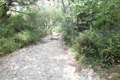 11_Lastours_2011_156
