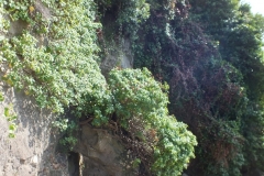 11_Lastours_2011_178