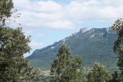 11_Peyrepertuse_2011_027