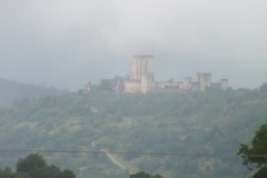 11_Puivert_2011_002
