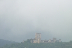 11_Puivert_2011_003