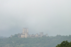 11_Puivert_2011_004
