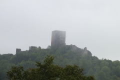 11_Puivert_2011_005