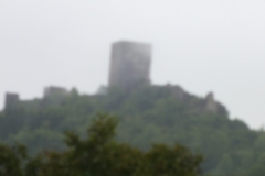 11_Puivert_2011_006