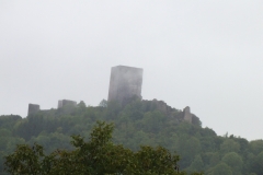 11_Puivert_2011_007