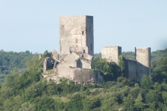11_Puivert_2011_010