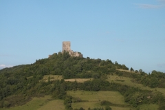 11_Puivert_2011_014