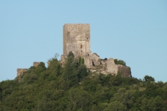 11_Puivert_2011_015