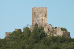 11_Puivert_2011_016
