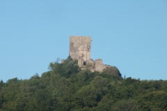 11_Puivert_2011_018