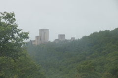 11_Puivert_2011_023