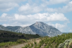 11_Queribus