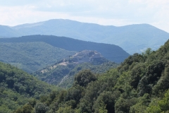 11_Termes