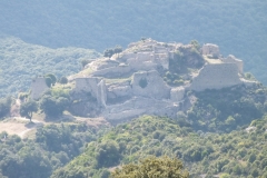 11_Termes_2011_003
