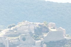 11_Termes_2011_004