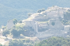 11_Termes_2011_005