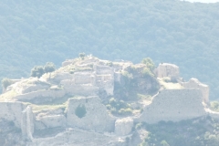 11_Termes_2011_006