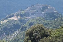 11_Termes_2011_007