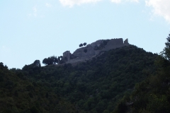 11_Termes_2011_010