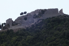 11_Termes_2011_012