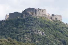 11_Termes_2011_020