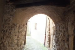 12_EntrayguesSurTruyere_2013_013