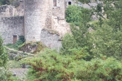 12_Brousse_2011_001