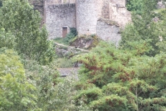 12_Brousse_2011_002