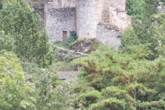 12_Brousse_2011_003