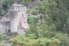 12_Brousse_2011_004