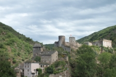 12_Brousse_2011_008
