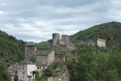 12_Brousse_2011_010