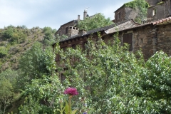 12_Brousse_2011_023