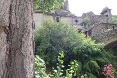 12_Brousse_2011_024