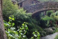12_Brousse_2011_025