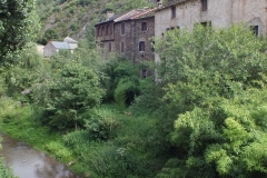 12_Brousse_2011_029