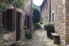 12_Brousse_2011_034