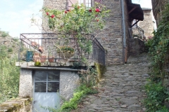12_Brousse_2011_041