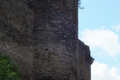 12_Brousse_2011_046