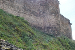 12_Brousse_2011_048