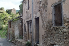 12_Brousse_2011_051