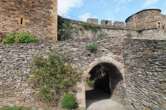 12_Brousse_2011_072