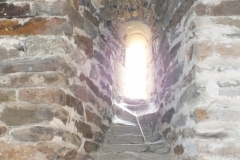 12_Brousse_2011_103