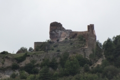 12_Peyrelade_2011_026