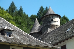 15-Vieillevie